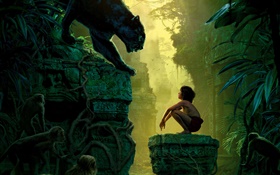The Jungle Book 2016 HD wallpaper