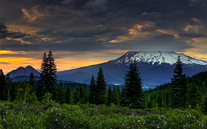 USA, California, mountains, trees, clouds, dusk Wallpapers Pictures Photos Images