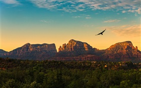 United States, Arizona, mountains, sunset, birds flying, village, dusk