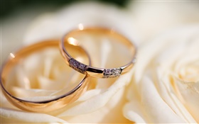 Wedding rings, rose petals HD wallpaper