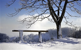 Winter, snow, tree, bench HD wallpaper