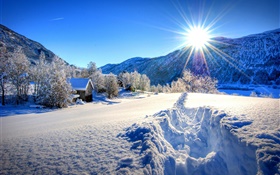 Winter, thick snow, trees, house, sun