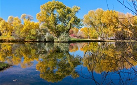 Autumn, pond, lake, park, trees, water reflection HD wallpaper