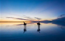 Beautiful nature, Uyuni Salt Lake, people dance, sunset, Japan HD wallpaper