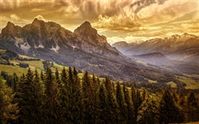 Clouds, sky, mountain, forest, trees, dusk HD wallpaper