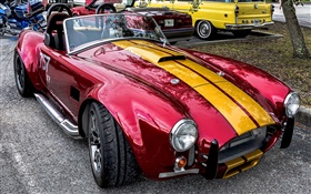 Cobra classic car front view