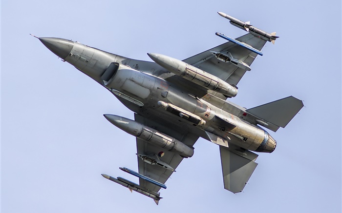 F-16AM multirole fighter Wallpapers Pictures Photos Images