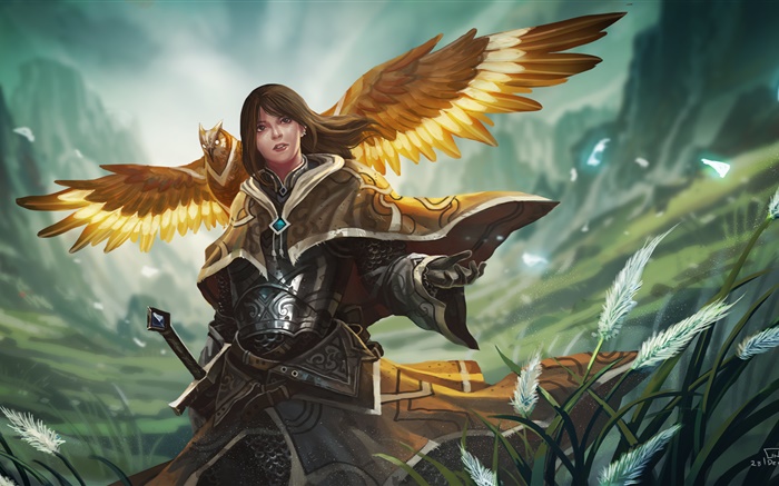 Fantasy girl, warrior, armor, owl wings Wallpapers Pictures Photos Images