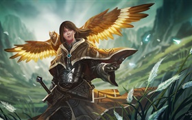 Fantasy girl, warrior, armor, owl wings
