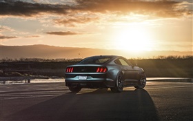 Ford Mustang 2015 GT supercar at sunset HD wallpaper