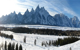 Grand Teton National Park, Wyoming, USA, winter, mountains, thick snow HD wallpaper