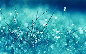 Grass, blue style, rain, water drops, glare HD wallpaper