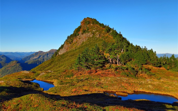 Mountain, trees, lake, water, blue sky Wallpapers Pictures Photos Images