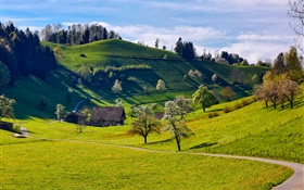 Mountains, hills, trees, grass, green, spring, house, road