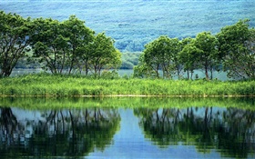 Nature landscape, trees, green, river, water reflection