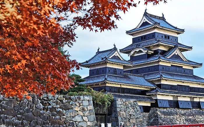 Pagoda, Japan, autumn, trees Wallpapers Pictures Photos Images
