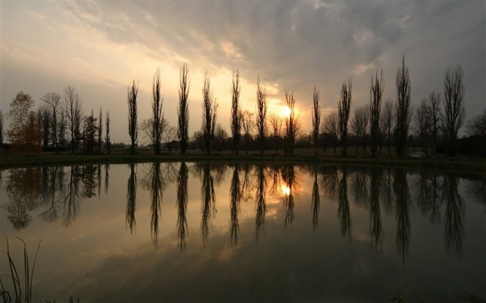 Pond, sunset, trees Wallpapers Pictures Photos Images