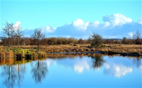 Sky, clouds, lake, trees, grass, autumn HD wallpaper