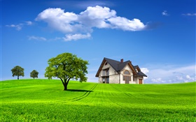 Summer, house, trees, field, green grass HD wallpaper