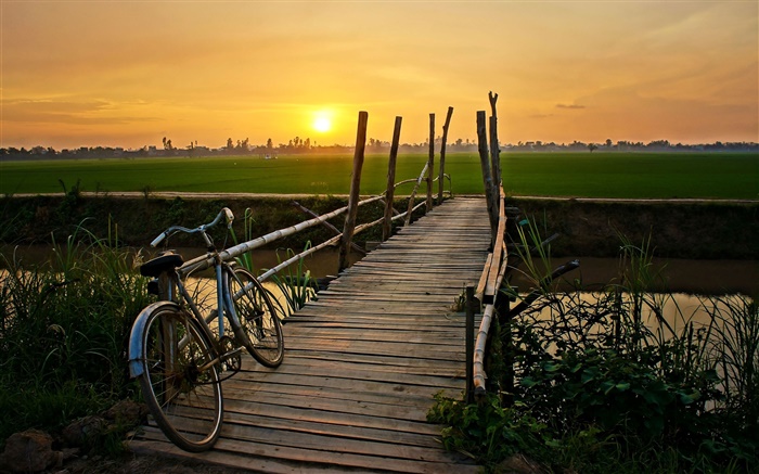 Sunset, bicycle, bridge, grass, field, river Wallpapers Pictures Photos Images