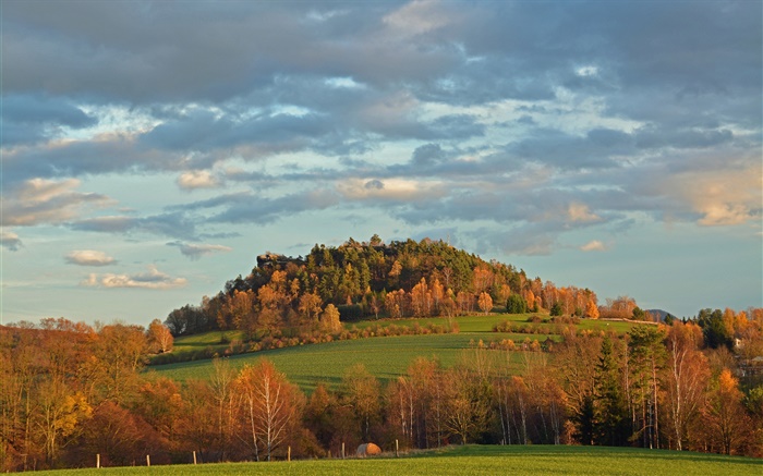 Trees, field, autumn, slope Wallpapers Pictures Photos Images