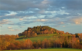 Trees, field, autumn, slope HD wallpaper
