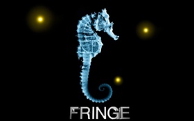X-ray, Fringe, Fox TV series, hippocampus HD wallpaper