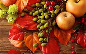 Autumn, fruits, leaves, berries, apples HD wallpaper