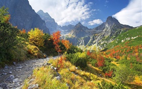 Autumn nature, mountains, yellow grass, trees, clouds HD wallpaper