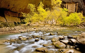 Autumn, river, stones, trees, yellow leaves HD wallpaper