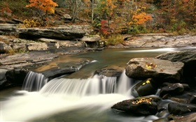 Autumn, trees, red leaves, rocks, creek HD wallpaper