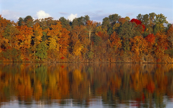 Autumn, trees, river Wallpapers Pictures Photos Images