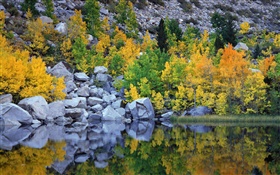 Autumn, trees, rocks, lake, water reflection HD wallpaper