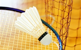 Badminton and racket HD wallpaper