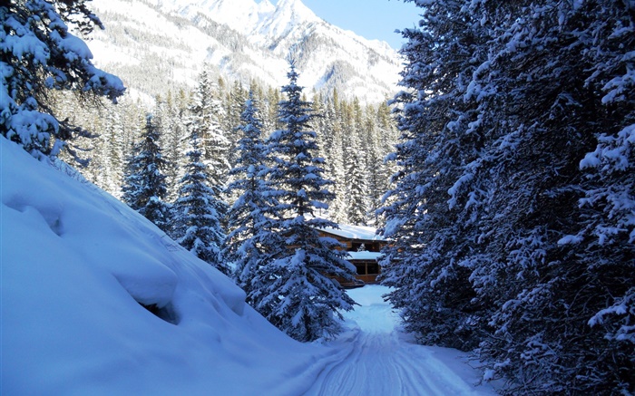 Banff National Park, Canada, trees, house, mountains, snow Wallpapers Pictures Photos Images