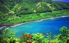 Bay, sea, mountains, green plants, Hawaii, USA