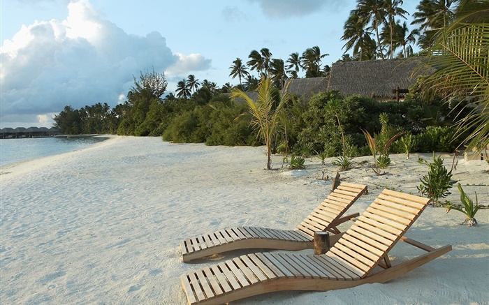 Beach, chair, palm trees, tropical Wallpapers Pictures Photos Images