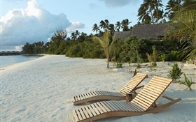 Beach, chair, palm trees, tropical HD wallpaper
