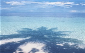 Beach, sea, palm tree shadow, Maldives HD wallpaper