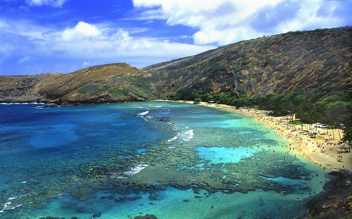 Beach, sea, people, Hawaii, USA Wallpapers Pictures Photos Images