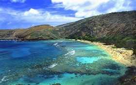 Beach, sea, people, Hawaii, USA