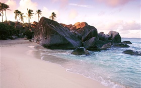 Beach, sea, stones, rocks, palm trees
