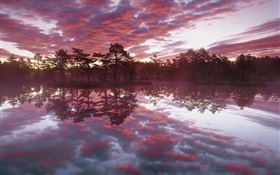 Beautiful dusk, trees, lake, water reflection, red clouds HD wallpaper
