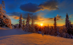 Beautiful sunset, winter, snow, trees, dusk HD wallpaper