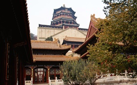 Beijing Forbidden City, China HD wallpaper