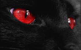 Black animal face, red eyes HD wallpaper
