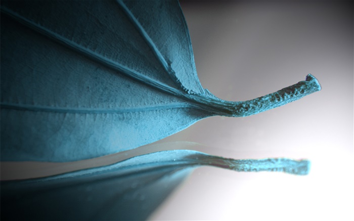 Blue leaf, creative pictures Wallpapers Pictures Photos Images