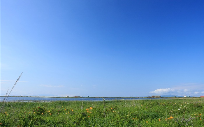 Blue sky, grass, coast, Hokkaido, Japan Wallpapers Pictures Photos Images