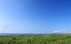Blue sky, grass, coast, Hokkaido, Japan HD wallpaper