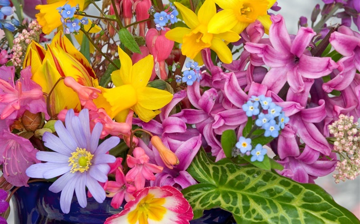 Bouquet flowers, many kinds, colorful Wallpapers Pictures Photos Images